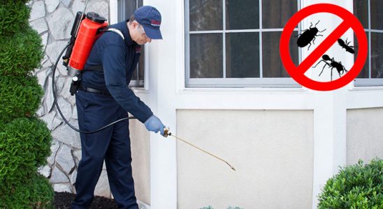 Yakutiye Hamam Böceği İlaçlama böcek ilaçlama ve haşere kontrolü — ilaclama-tr.com